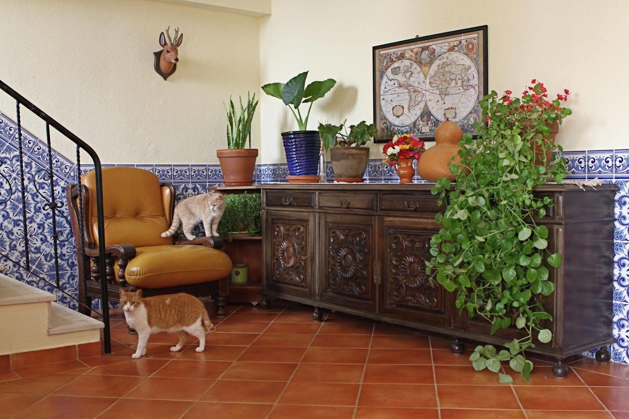 Vila Graciosa - Tranquility Oasis Lagos Exterior photo